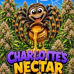 Charlotte's Nectar CBD Auto